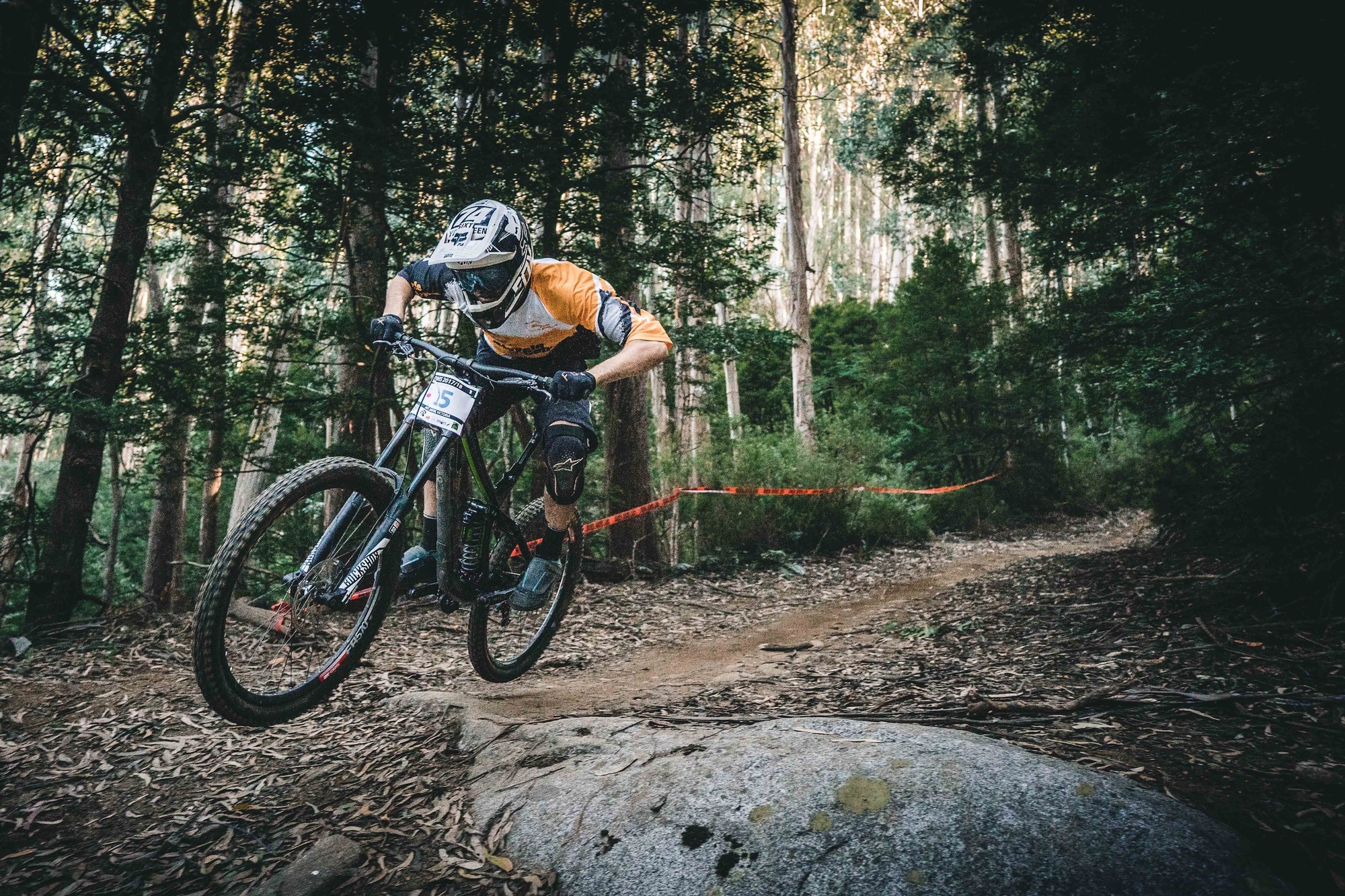Image 2 for The Mountain Biker