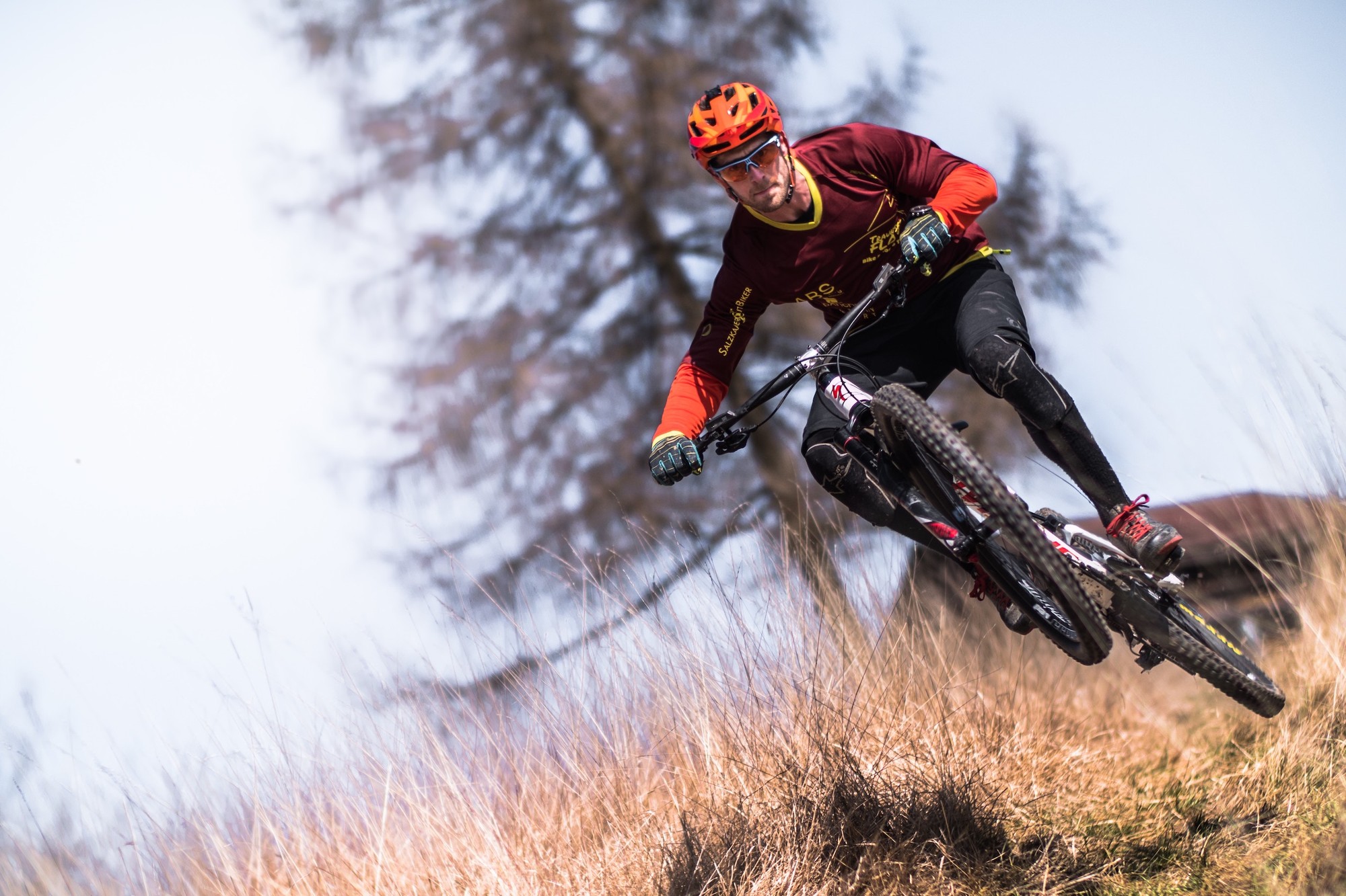 Image 1 for The Mountain Biker